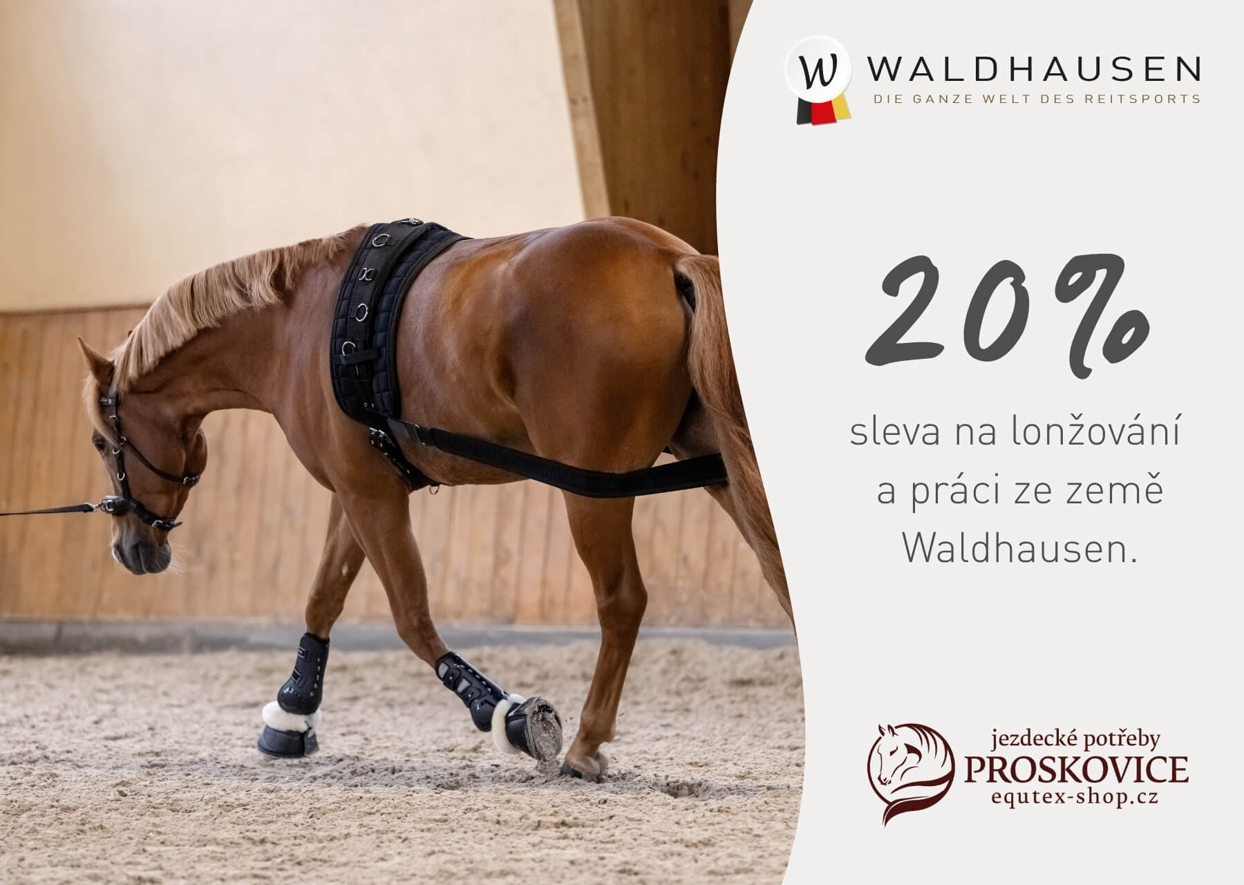 Waldhausen akce na lonžování